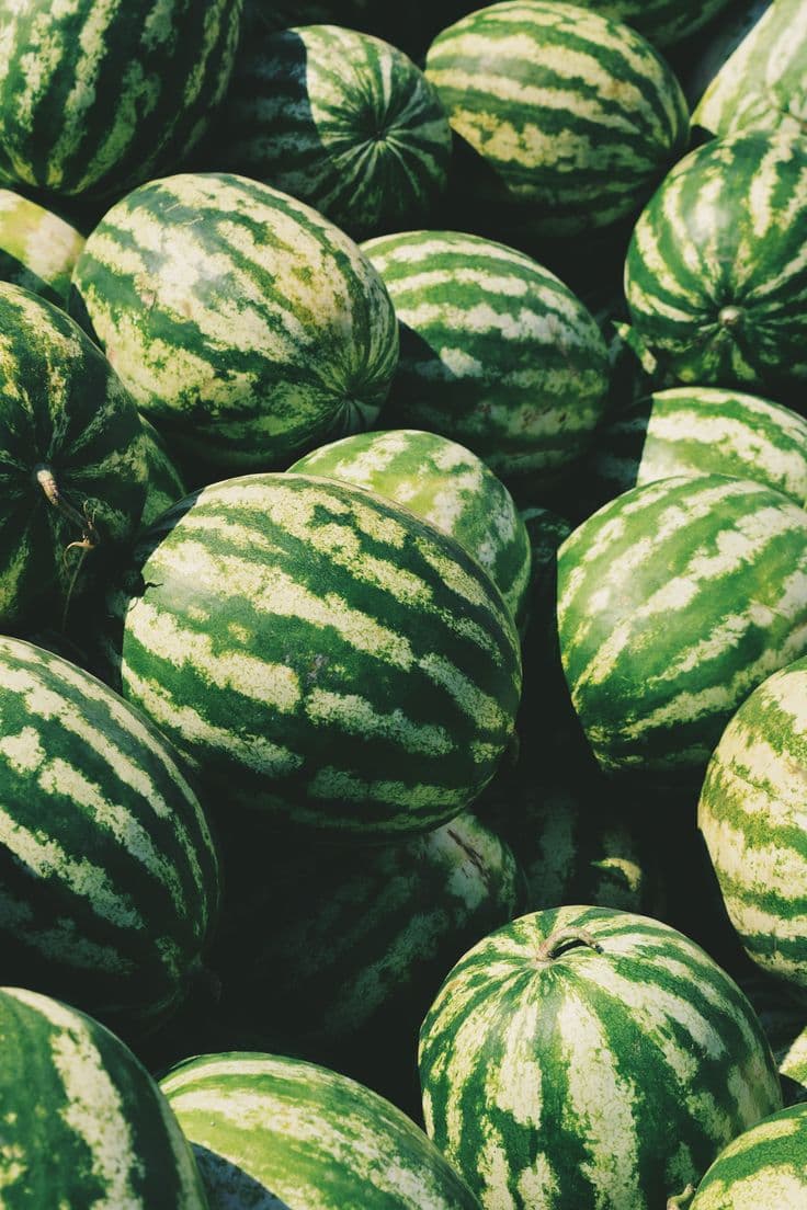 Fresh Watermelons